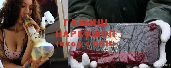 прущие грибы Богданович
