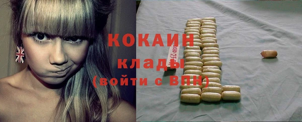 винт Пересвет