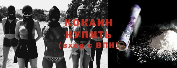 прущие грибы Богданович