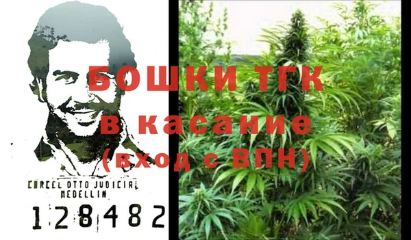 прущие грибы Богданович