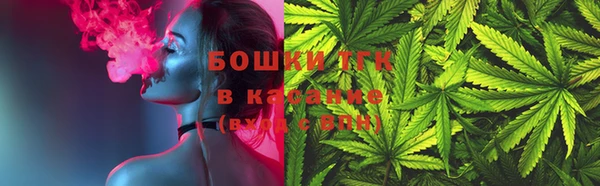 прущие грибы Богданович